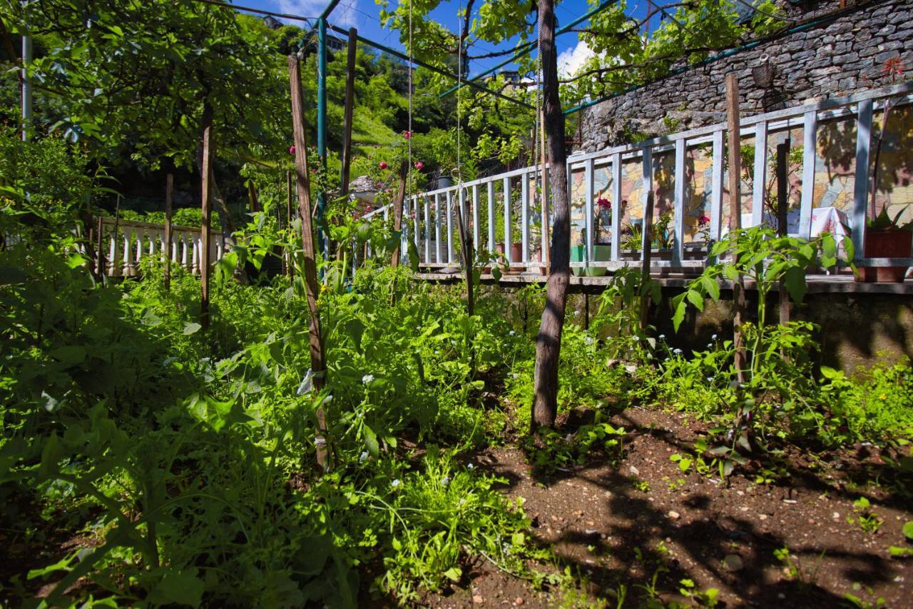 Grandma'S Home Gjirokaster Luaran gambar